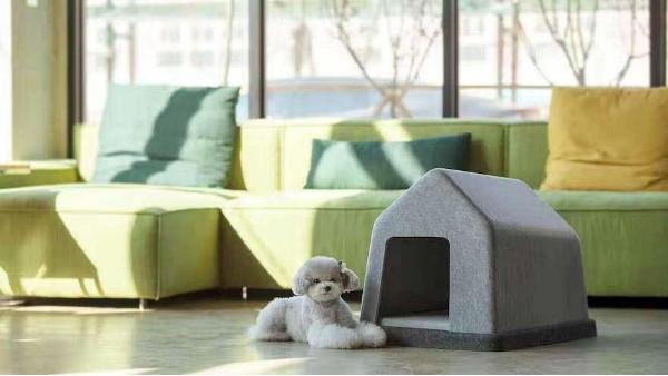 淘寶發(fā)布《雙12萌寵消費(fèi)新趨勢(shì)》：寵物用品銷(xiāo)售異軍突起