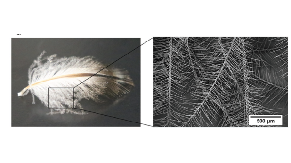 企鵝絨毛狀的人造纖維你見(jiàn)過(guò)嗎？