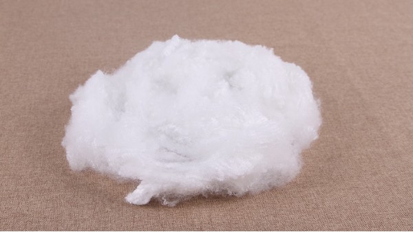 聚酯滌綸行業運行及金融機構交流會召開