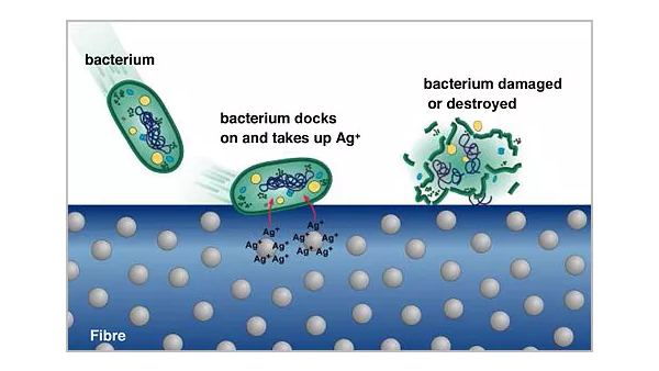 抗菌紡織品加工、發展及應用