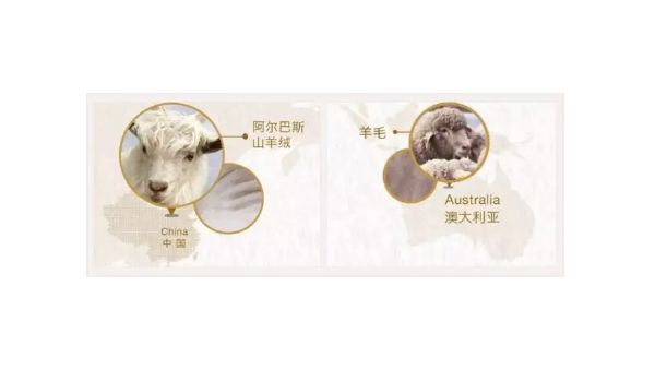 天冷了，羊毛和羊絨到底有什么區別？90%的人都不知道！