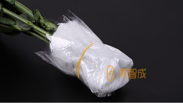 鮮花吸水棉-讓花束保鮮更持長